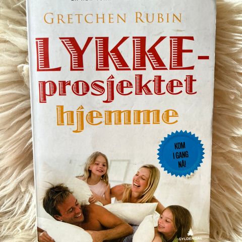 Lykkeprosjektet hjemme - Gretchen Rubin