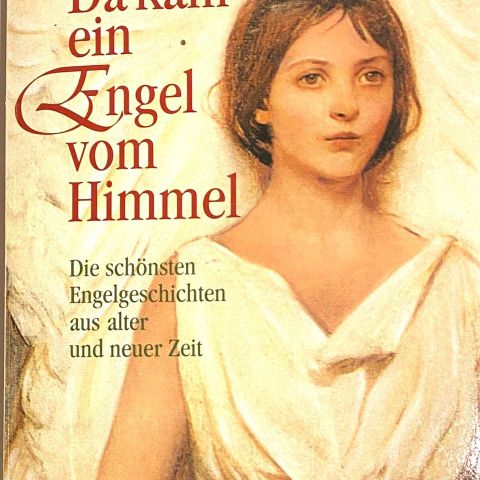 Claudia Lardon-Kattenbusch: "Da kam ein Engel vom Himmel". Tysk. Paperback