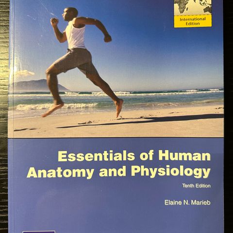 Essentials of human anatomy and physiology