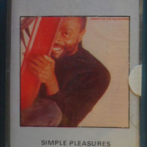 Bobby McFerrin, Simple pleasures.