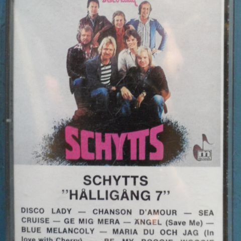 Schyts, Dicso Lady, Hålligång 7.