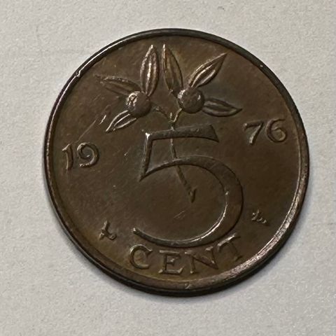 5 Cent Nederland 1976 (2746 AI)