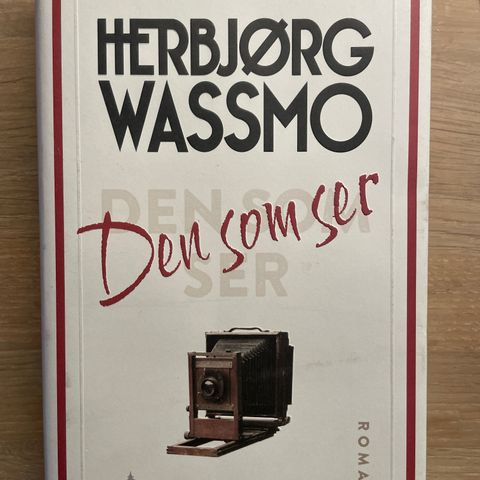 Den som ser av Herbjørg Wassmo
