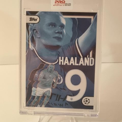 Haaland project 22