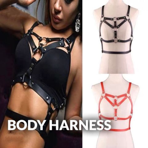 Body Harness