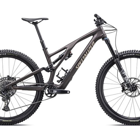 Specialized Stumpjumper EVO Comp