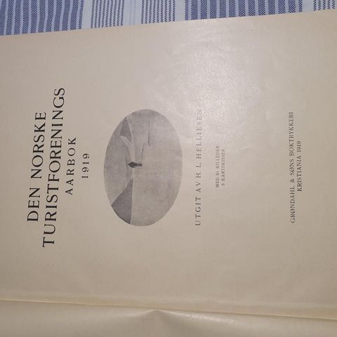 Den Norske Turistforening 1919