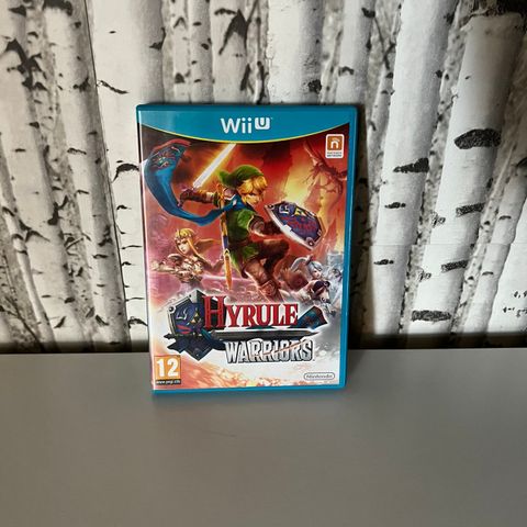 Hyrule Warriors Til Nintendo Wii u