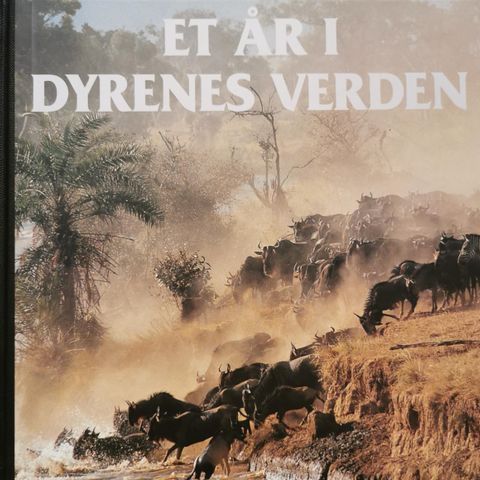 Et år i dyrenes verden