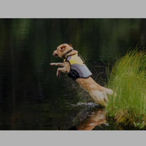 EQDOG pro life vest/flytevest ubrukt