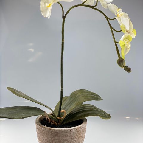 Silkeblomster, kunstig orkide - høyde ca 50 cm