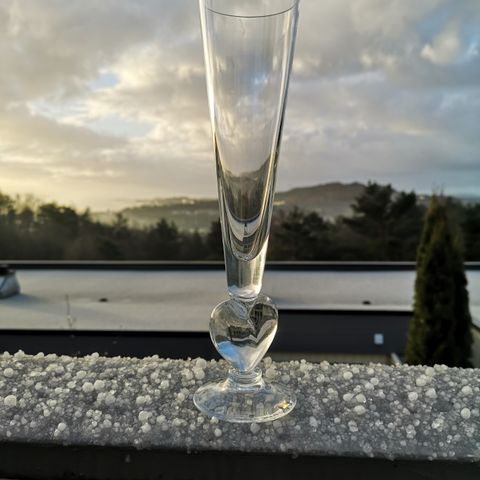 Champagneglass med hjerte / blomstervase med hjerte /Valentinsglass