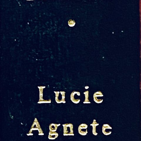 Amalie Skram: "Lucie. Agnete". To titler