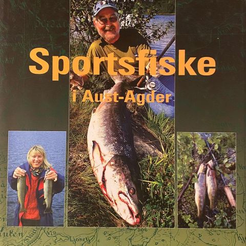 Nils Petter Vigerstøl: "Sportsfiske i Aust-Agder"