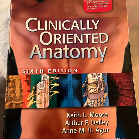 Clinically oriented anatomy