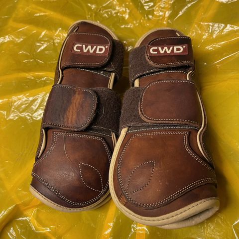 cwd