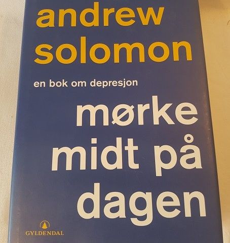 Mørke midt på dagen – Andrew Solomon