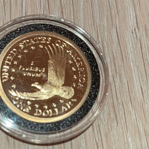 1 USD Sacagawea dollar