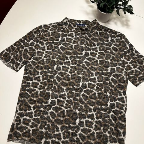 Topp leopard