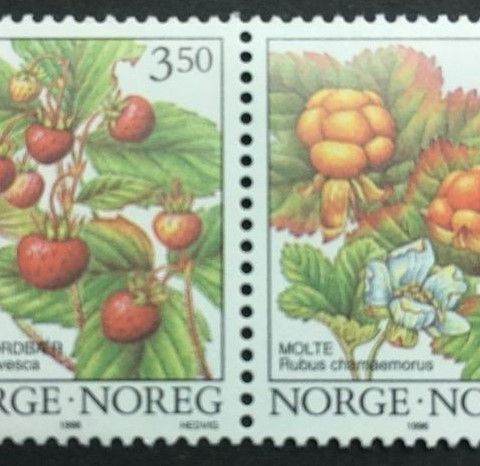 Norge 1996 Skogsbær II NK 1253 og NK 1254 Postfrisk