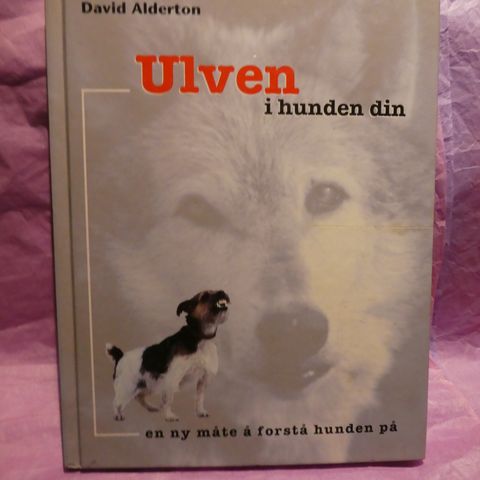 Ulven i hunden din: En ny måte å forstå hunden på