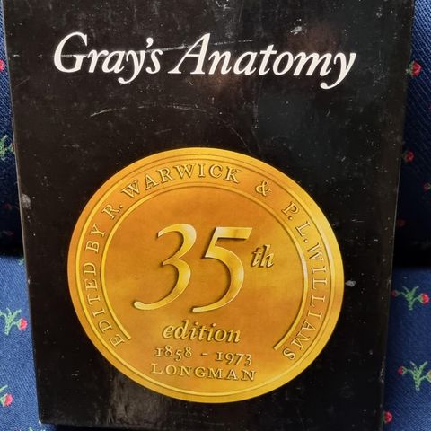 GRAY'S ANATOMY