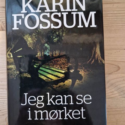 Jeg kan se i mørket av Karin Fossum