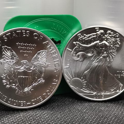 USA 1 oz silver eagle (ASE) 2008, 2013 2015, 2016, 2018. 2023 999 SØLV