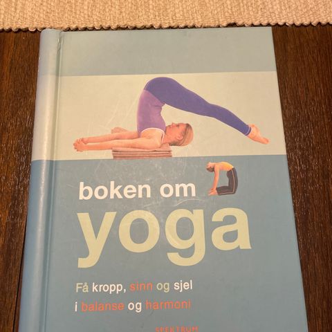 «Boken om yoga»