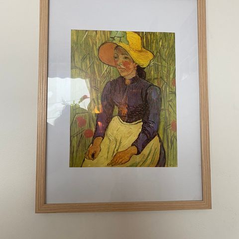 Vincent Van Gogh - Peasant Woman Against a Background (1890)