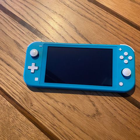 Nintendo switch lite