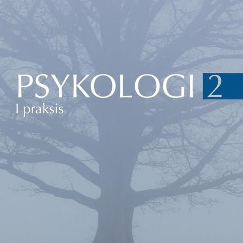 Psykologi 2 i praksis