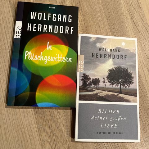 WOLFGANG HERRNDORF: 2 romaner (pocket, tysk tekst)