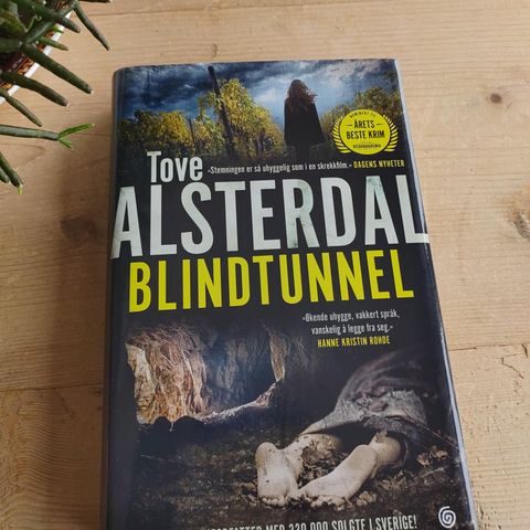 Tove Alsterdal "Blindtunell" Krim 2020