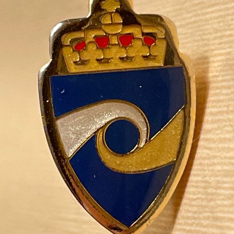 Kriminalomsorgen pin