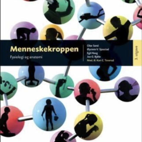 Anatomi - Menneskekroppen