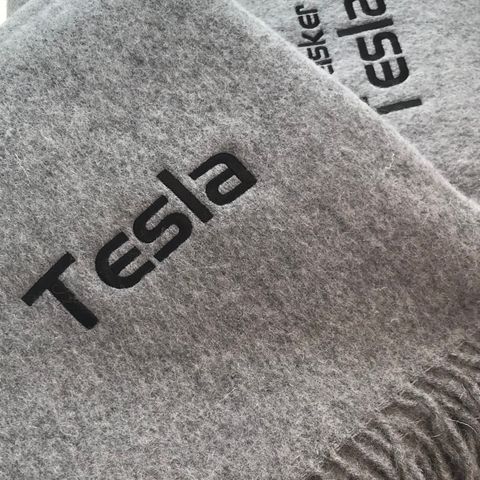 Tesla ullpledd. Pynt? Gave? Bilen? Sofaen?