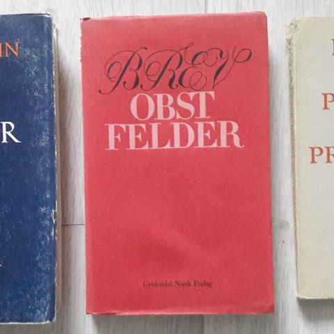 Bøker om norsk litteratur