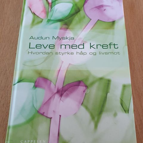 Leve med kreft