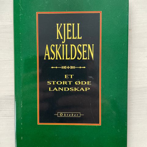 Kjell Askildsen «Et stort øde landskap»