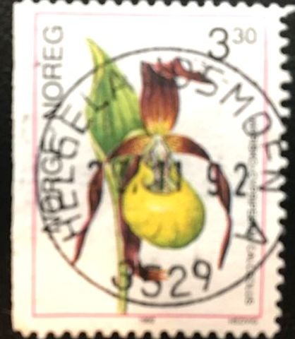 Norge 1992 Orkideer II   NK 1137  Pent stemplet HELGELANDSMOEN 25.11.92