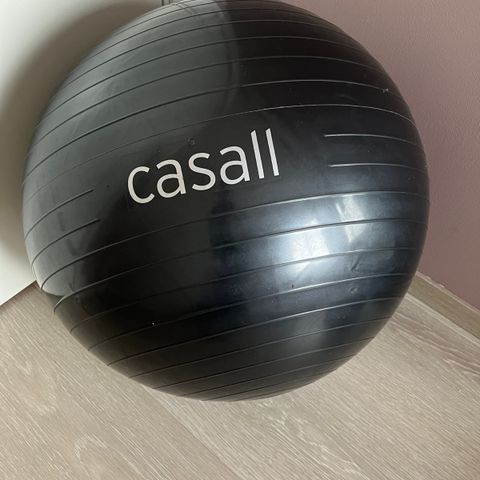 Yoga Ball Casall