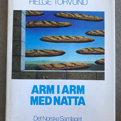 Arm i arm med natta av Helge Torvund