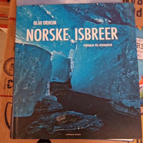 NORSKE ISBREER