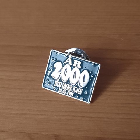 År 2000 - 1700 dager igjen - Pins