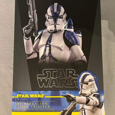 Hot Toys Star Wars: 1/6 501st Battalion Clone Trooper Action Figure (TMS022)