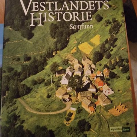 Vestlandets historie  - Samfunn