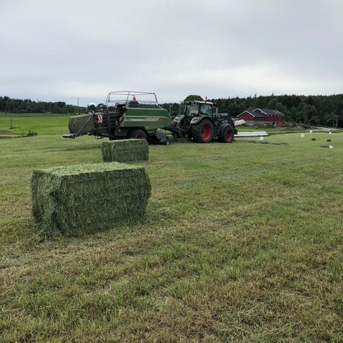 HØY/ HØYENSILAGE TIL SALG (Vikersund)