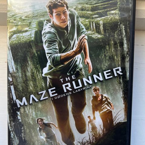 The Maze Runner (DVD)