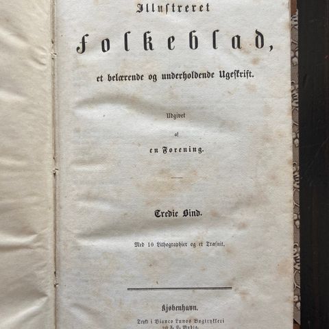 Illustreret folkeblad, et belærende og underholdende ugeskrift (1856)